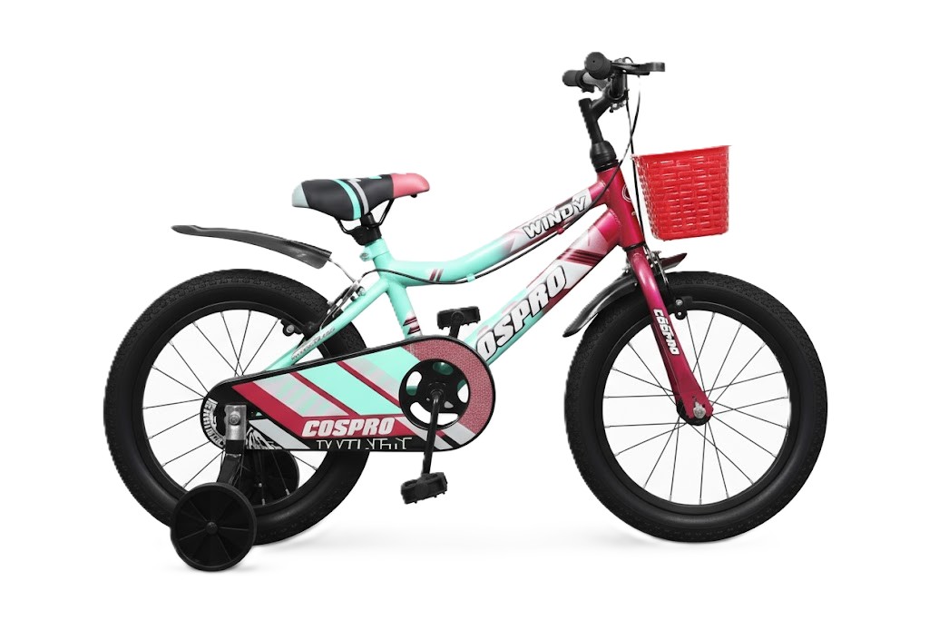 CYCLE COSPRO WINDY 20
